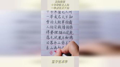 十年寒窗无人问（73集）——探寻知识之路的艰辛与坚持