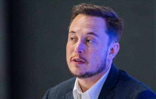 专家解析，马斯克意识到自己被人当枪使了