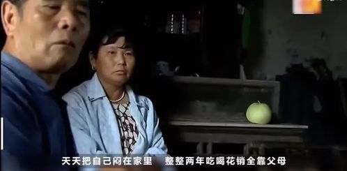 首富回村，巅峰归来（82集）