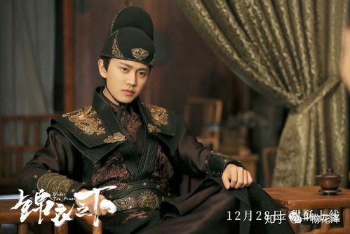 女扮男装后锦衣卫大人爱上我（33集）