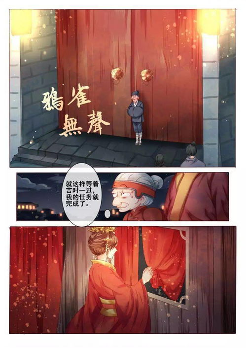 医婿无双，医术与情感的双重传奇