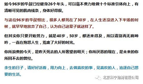 顾总，夫人试用期再次延长（96集深度解析）