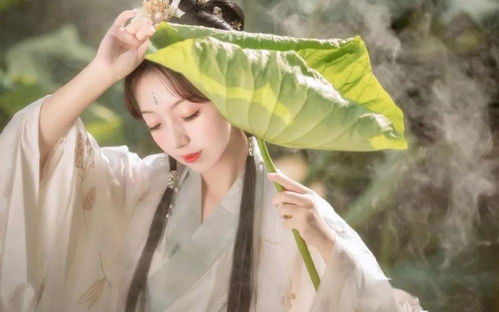 易总的娇娇玫瑰，绽放的八十一难与无悔的爱（96集）