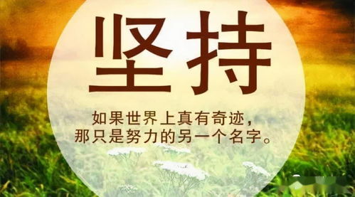落在生命里的光（100集）之探寻生命之光