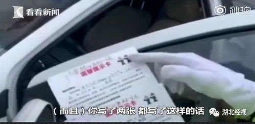 女子违停被贴罚单后爬上警车引擎盖，公众秩序与个人行为的思考