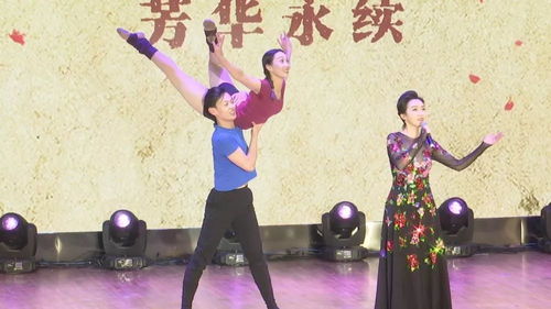 一见倾心，一场跨越时空的深情之旅（84集）