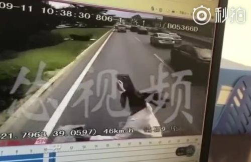 女子鬼探头式奔跑过斑马线被撞，交通安全意识的警钟
