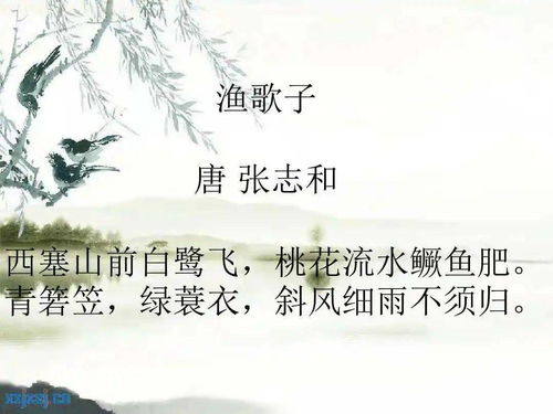 爱，如约而至（81集）