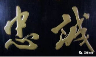 护国天医，医术与忠诚的交织（90集深度解析）