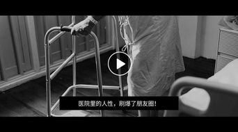 狂医圣手，医术、情感与人性的交响（80集剧情深度解析）