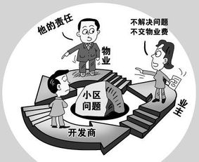 无法原谅，深度探究与反思