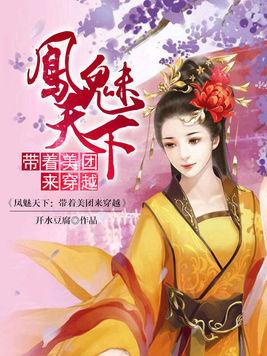 凤临天下，一部跨越时空的传奇（86集）