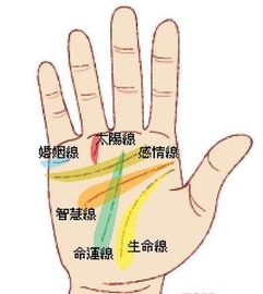 女子拍了下老公后背，手掌印清晰可见，背后的情感故事与沟通的重要性