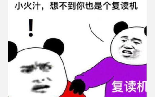 李晟团票数垫底，全员表情错愕