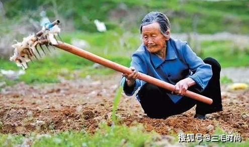 这乡下人真牛（82集）