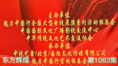 第19年（99集）孟娜，时光洗礼下的坚韧与辉煌