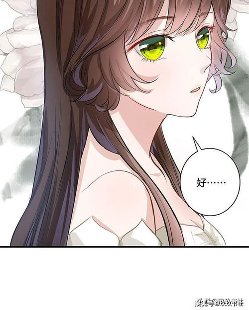 替身新娘，陆总的第一宠妻