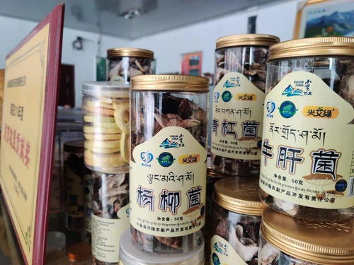 朝九晚五小保安（一），平凡之路的可凡人生（共100集）