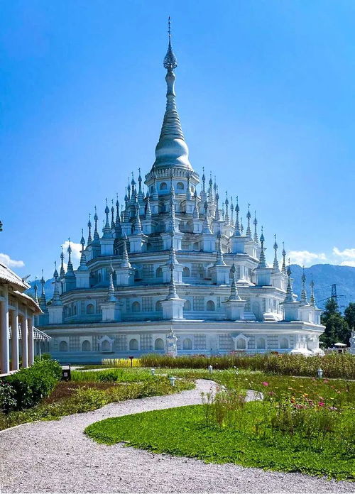 千亿双宝，爹地快追，妈咪的马甲藏不住了（100集连续剧深度解析）