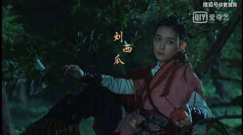 天师下山之完美赘婿