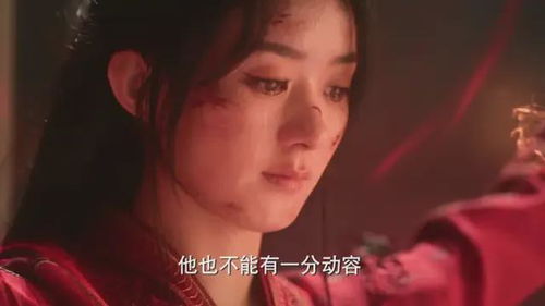 沈总别虐了，夫人她没了（第101集）深度解析与感悟
