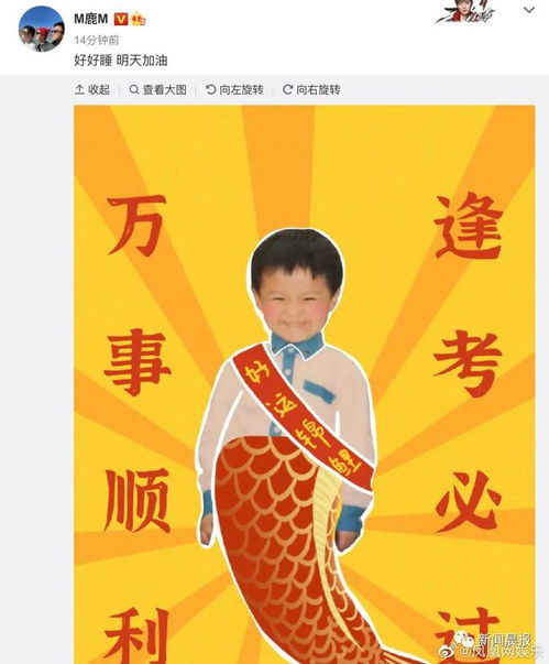 央视高考祝福文案中删除那尔那茜名字的影响与启示