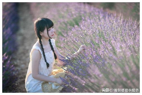 在她温柔里沉沦