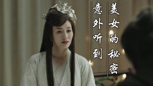 救命医女弃妇竟是长公主（71集）