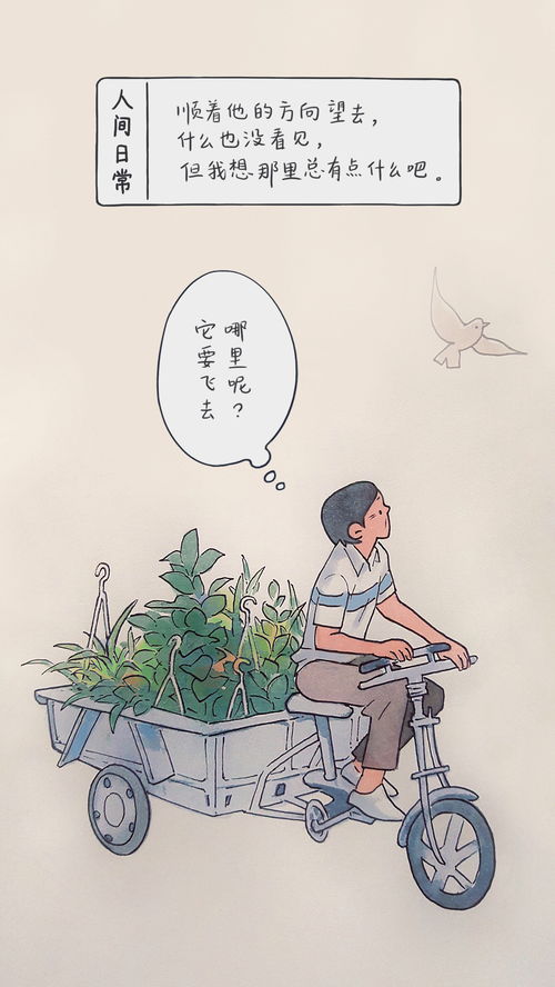 人间枝满头（61集），生活的繁华与感悟