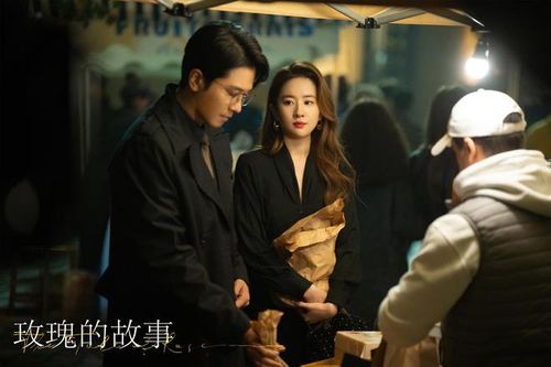 玫瑰的故事之闪耀的她——胡冬晴（66集连续剧剧情解析）