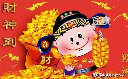 财神带我飞驰人生（88集）——林琦婷的奋斗与成长之路