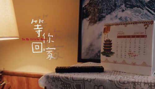 等你回家（80集）