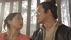 曾将真心错付（95集）