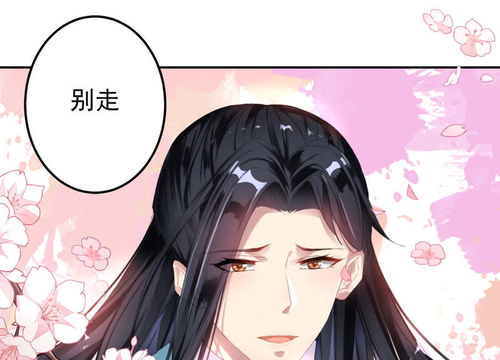 逃婚夫妇又掉马甲了（第97集）