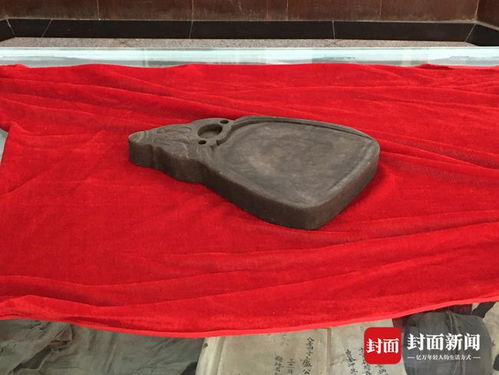 跨越百集的旅程，探索与成长