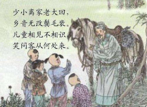 少小离家老大回（86集）——人生旅程的归途与启示