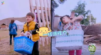 我竟靠爸妈养猪走上巅峰（第32集）