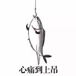我嫁给了一条咸鱼（84集）
