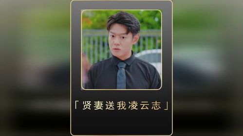 贤妻扶我凌云志（71集连续剧剧情解析）