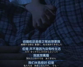 婚姻迷城，深度解读一部关于爱的探索之旅（97集）