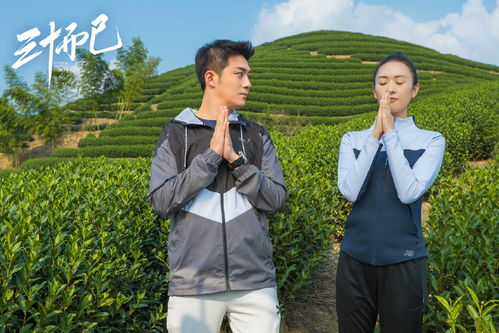 报告许小姐，顾总他超爱（76集）