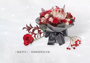 盛放的野玫瑰，一部关于成长与爱情的故事（27集）