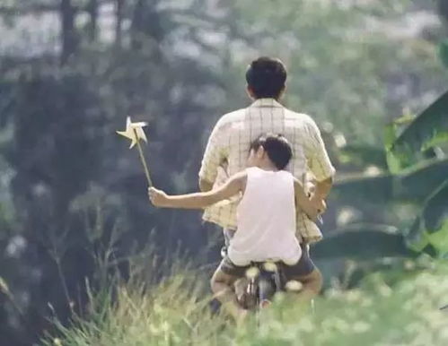 父爱沉如山——深度解读父爱的伟大与坚韧（65集）