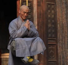 功夫医圣，医术与武学的完美结合