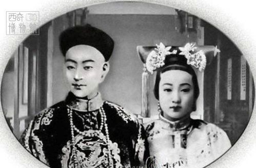 新护国帝尊，权力、责任与荣耀的交织