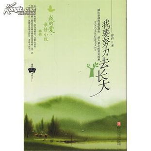 我是好人王，一个关于善良与成长的长篇小说